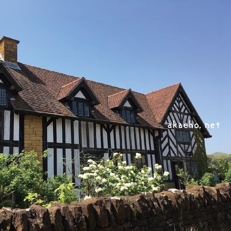 【千葉県】子連れ旅行で訪れたおすすめの観光スポット