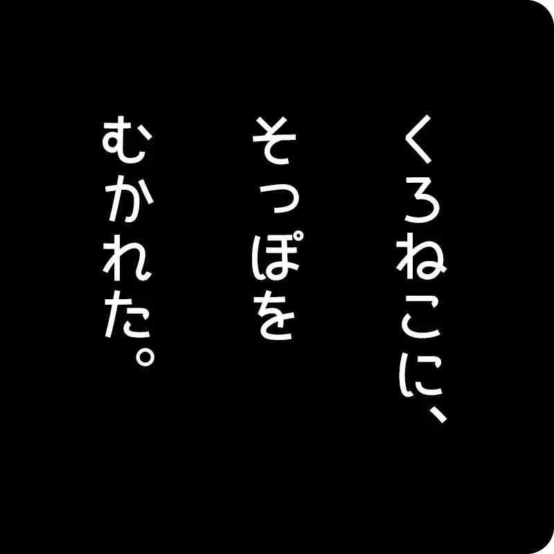 くろねこ6