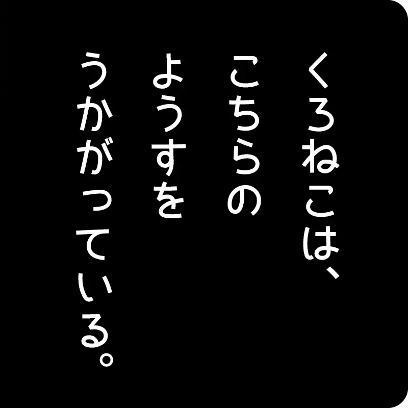 くろねこ8