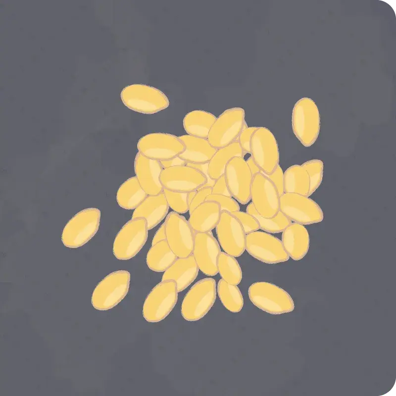 たべものしりとり4